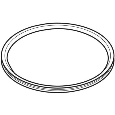 Geberit 387023001 Joint - Joint pour anneau d'insertion Pluvia - Publicité Geberit 387023001 Joint - Joint pour anneau d'insertion Pluvia - Publicité