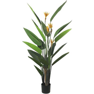 KARE DESIGN - Paradise Flowers - 190 cm - Wewnątrz - Roślina dekoracyjna KARE DESIGN - Paradise Flowers - 190 cm - Wewnątrz - Roślina dekoracyjna