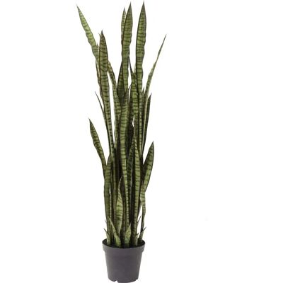 Kare Design Planta Artificial Sansewieria en Maceta Negra 35x155x35cm - Tipo de Planta Kare Design Planta Artificial Sansewieria en Maceta Negra 35x155x35cm - Tipo de Planta