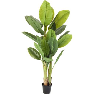 Kare Design Conjunto de 2 Árboles de Banana Artificiales - 180cm - Verde Falso - Decoración Kare Design Conjunto de 2 Árboles de Banana Artificiales - 180cm - Verde Falso - Decoración