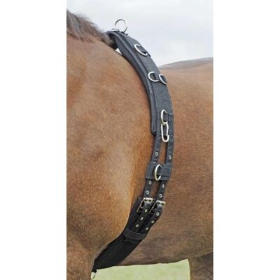 BUSSE - PROFI-SOFT - Pony 160-210 cm - Longe girth BUSSE - PROFI-SOFT - Pony 160-210 cm - Longe girth