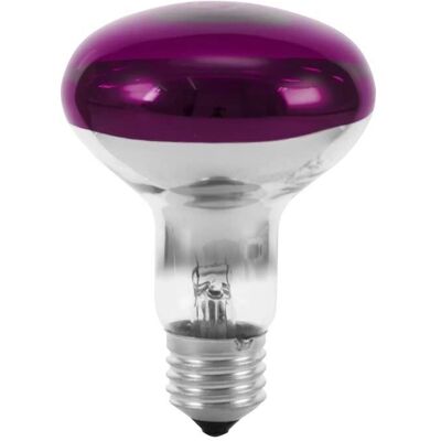 EuroLite - E27 Violett 60W Halogenlampe - Reflektor EuroLite - E27 Violett 60W Halogenlampe - Reflektor