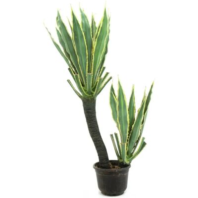 EUROPALMS Orchidée-Cactus - Plante Artificielle - 160cm - Publicité EUROPALMS Orchidée-Cactus - Plante Artificielle - 160cm - Publicité