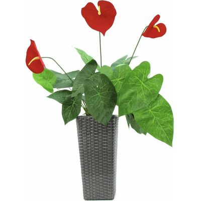 Europalms Anthurium - 70cm Künstliche Pflanze - Tropisches Dekor Europalms Anthurium - 70cm Künstliche Pflanze - Tropisches Dekor