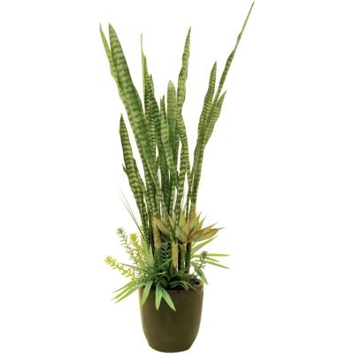 EUROPALMS Sukkulent-Mix - Kunstig Plante 190cm EUROPALMS Sukkulent-Mix - Kunstig Plante 190cm
