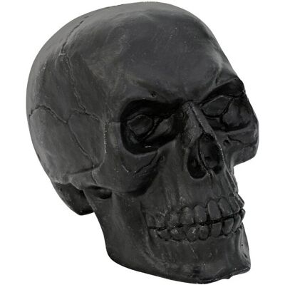 Europalms Totenkopf - 16 cm Halloween Dekoration Europalms Totenkopf - 16 cm Halloween Dekoration