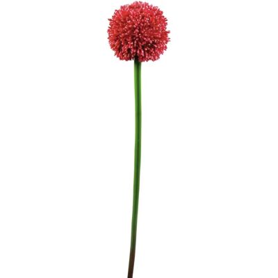 EUROPALMS Allium Artificiel 55cm - Branche Fleurie - Publicité EUROPALMS Allium Artificiel 55cm - Branche Fleurie - Publicité