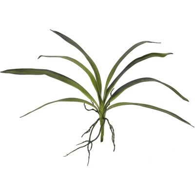 Feuille d'orchidée EUROPALMS - Plante artificielle 45cm - Publicité Feuille d'orchidée EUROPALMS - Plante artificielle 45cm - Publicité
