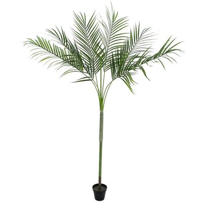 EUROPALMS Areca deluxe - Kunstig plante - 180cm - Grøn - Velegnet til udendørs brug EUROPALMS Areca deluxe - Kunstig plante - 180cm - Grøn - Velegnet til udendørs brug