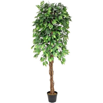 Europalms Ficus-Benjamini Træ - Flere Stammer - 180cm - Kunstplante Europalms Ficus-Benjamini Træ - Flere Stammer - 180cm - Kunstplante