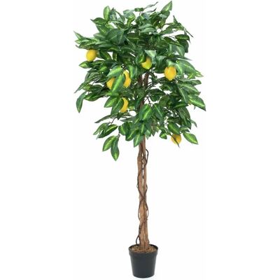 EUROPALMS Zitronenbaum - 180cm - Künstliche Pflanze - Gartendekoration EUROPALMS Zitronenbaum - 180cm - Künstliche Pflanze - Gartendekoration