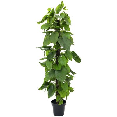 Plante Pothos Artificielle - 180cm - Vert - Publicité Plante Pothos Artificielle - 180cm - Vert - Publicité