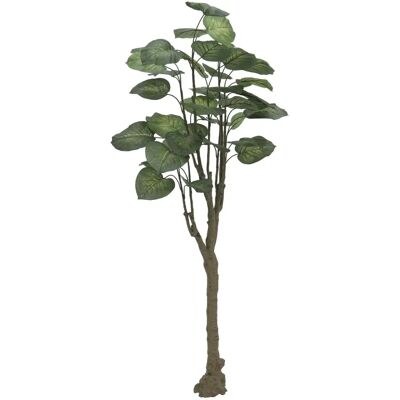 Plante Artificielle EUROPALMS Pothos - 150cm - Décoration Intérieure - Publicité Plante Artificielle EUROPALMS Pothos - 150cm - Décoration Intérieure - Publicité