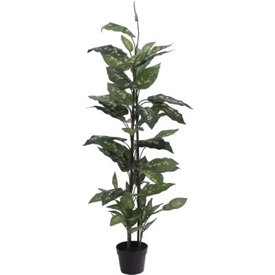 EUROPALMS Dieffenbachia Kunstpflanze - Tropische Innendekoration EUROPALMS Dieffenbachia Kunstpflanze - Tropische Innendekoration