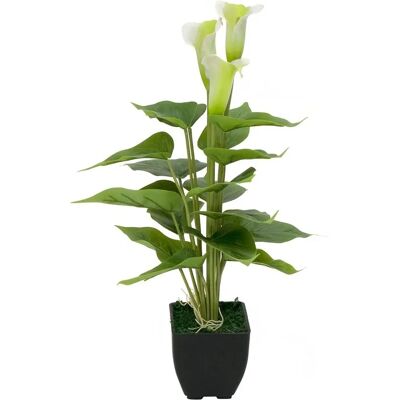 EUROPALMS Mini Calla Künstliche Pflanze - Weiß, 43cm - Innendekoration EUROPALMS Mini Calla Künstliche Pflanze - Weiß, 43cm - Innendekoration