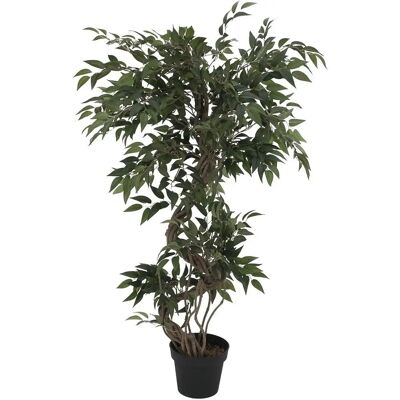 EUROPALMS Ficus Spiralstamm - Bäume EUROPALMS Ficus Spiralstamm - Bäume