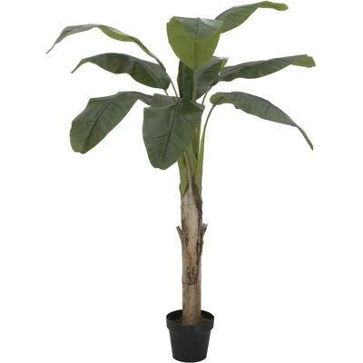 EUROPALMS Banantræ - Kunstig plante - 145cm EUROPALMS Banantræ - Kunstig plante - 145cm