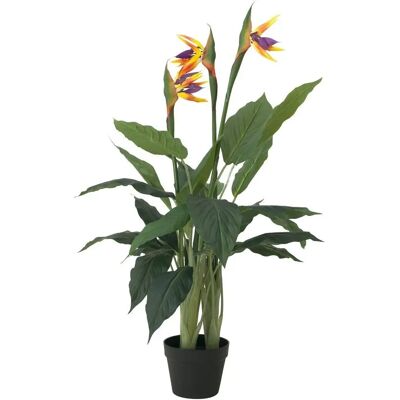 EUROPALMS Strelitzia Kunstpflanze - Innen/Außen - 90cm EUROPALMS Strelitzia Kunstpflanze - Innen/Außen - 90cm