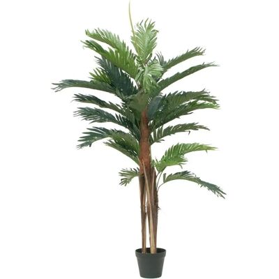 EUROPALMS Kentia Palme - Künstliche Pflanze, 120cm EUROPALMS Kentia Palme - Künstliche Pflanze, 120cm