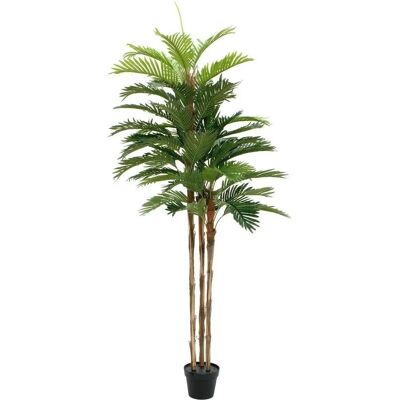 Europalms Kentia Palmeskulptur - 180cm Europalms Kentia Palmeskulptur - 180cm