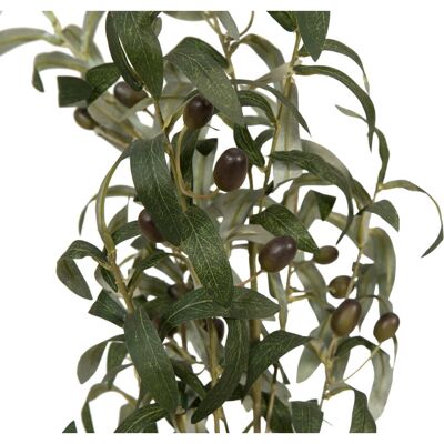 EUROPALMS Ficus longifolia - Plante artificielle - 165cm - Publicité EUROPALMS Ficus longifolia - Plante artificielle - 165cm - Publicité