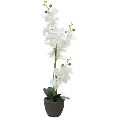 EUROPALMS Orchidee - Künstliche Pflanze, Weiß, 80cm - Blumen EUROPALMS Orchidee - Künstliche Pflanze, Weiß, 80cm - Blumen