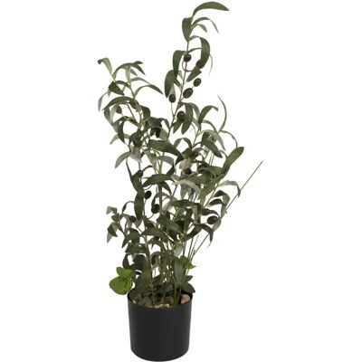 EUROPALMS Olivenbaum - 68cm Kunstpflanze mit Mittelmeerflair EUROPALMS Olivenbaum - 68cm Kunstpflanze mit Mittelmeerflair