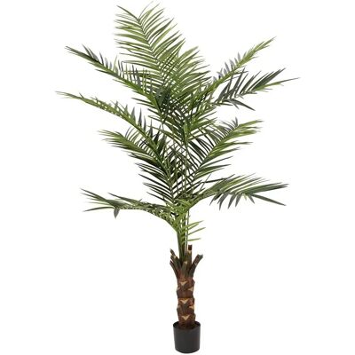 EUROPALMS Kentia Palme - 240cm Kunstpflanze - Tropischer Stil EUROPALMS Kentia Palme - 240cm Kunstpflanze - Tropischer Stil