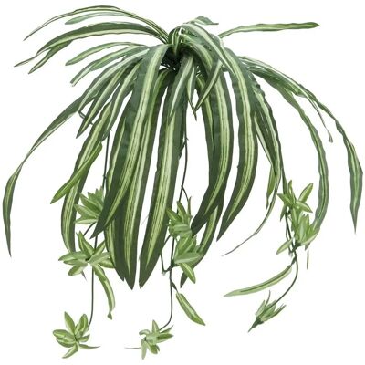 Plante artificielle EUROPALMS Dracaena - Rouge, 180cm - Publicité Plante artificielle EUROPALMS Dracaena - Rouge, 180cm - Publicité