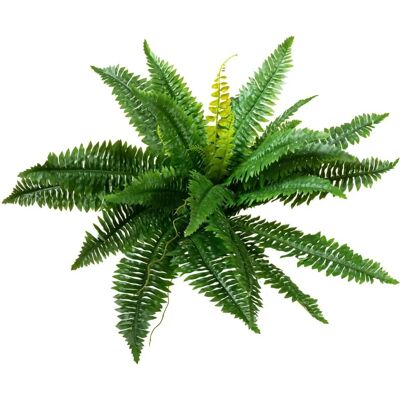 Europalms Bostonfarn - Künstliche Pflanze - 53cm Europalms Bostonfarn - Künstliche Pflanze - 53cm