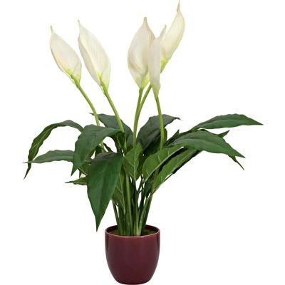 EUROPALMS Lily Peace Kunstplanter - 49cm EUROPALMS Lily Peace Kunstplanter - 49cm