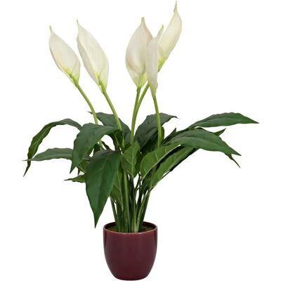 EUROPALMS Lily Peace Kunstplante - 49cm EUROPALMS Lily Peace Kunstplante - 49cm