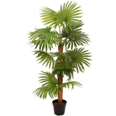EUROPALMS Viftepalme, kunstig plante, 130cm EUROPALMS Viftepalme, kunstig plante, 130cm