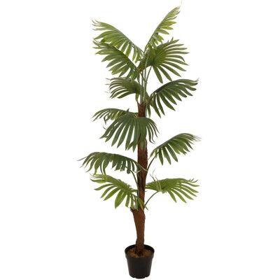 Europalms Viftepalme - Kunstig plante 155cm Europalms Viftepalme - Kunstig plante 155cm