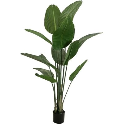 EUROPALMS Strelitzia - Künstliche Pflanze - 170 cm EUROPALMS Strelitzia - Künstliche Pflanze - 170 cm