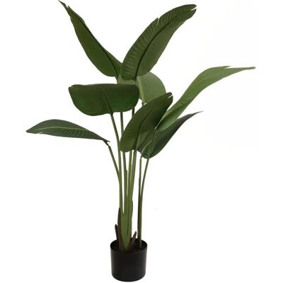 EUROPALMS Strelitzia - Künstliche Pflanze - 110 cm - Tropischer Stil EUROPALMS Strelitzia - Künstliche Pflanze - 110 cm - Tropischer Stil