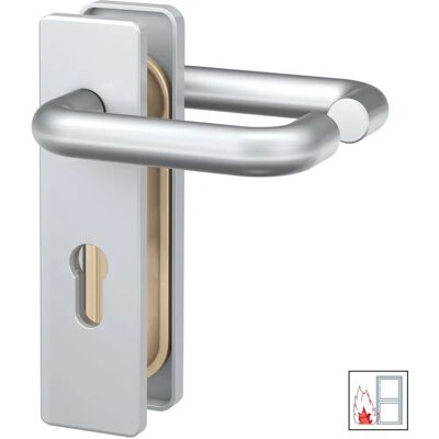 BASI Stahltürgriff - FS 2100 Serie - Für Brandschutztüren BASI Stahltürgriff - FS 2100 Serie - Für Brandschutztüren