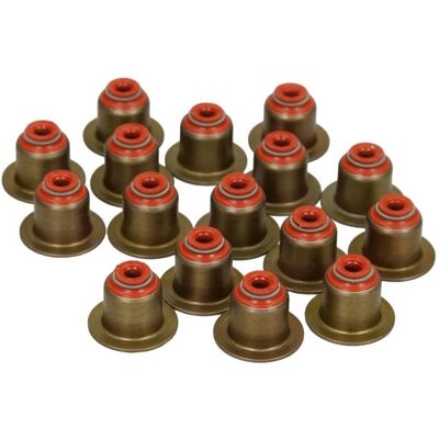 REINZ BMW Mini Valve Stem Seal Kit - Red FPM - 2 Year Warranty REINZ BMW Mini Valve Stem Seal Kit - Red FPM - 2 Year Warranty
