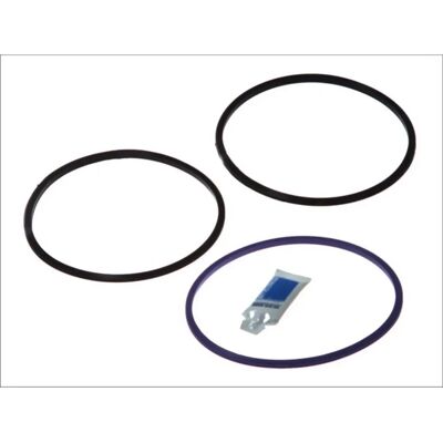 Ensemble de joints de cylindre Victor Reinz - OEM DAF 1603 977, 1603 978 Ensemble de joints de cylindre Victor Reinz - OEM DAF 1603 977, 1603 978