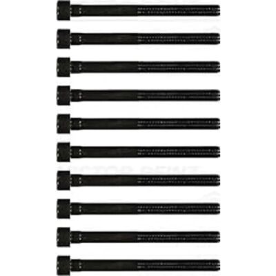 REINZ 14-32094-01 Fiat Cylinder Head Bolt Kit REINZ 14-32094-01 Fiat Cylinder Head Bolt Kit
