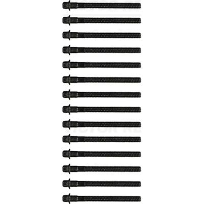 REINZ BMW Zylinderkopfbolzen - M10, 110 mm, Torx außen REINZ BMW Zylinderkopfbolzen - M10, 110 mm, Torx außen