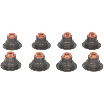REINZ 12-33447-01 Dichtungsset für Ventilschaft - Valve Stem Seal Kit REINZ 12-33447-01 Dichtungsset für Ventilschaft - Valve Stem Seal Kit