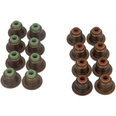 REINZ 12-33876-01 Ventilschaftdichtungssatz für Ford, Volvo, Mazda - Motorteile REINZ 12-33876-01 Ventilschaftdichtungssatz für Ford, Volvo, Mazda - Motorteile