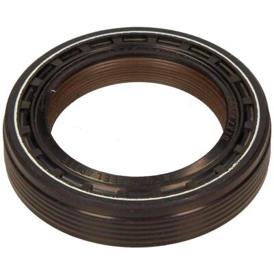 Reinz Guarnizione albero a camme - Per VW T4 Reinz Guarnizione albero a camme - Per VW T4