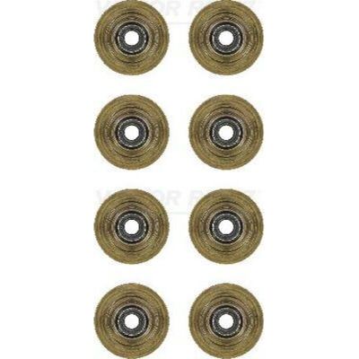 REINZ 12-35547-01 Ventilschaftdichtungssatz für Ford Fiesta 5, Fusion, Ka REINZ 12-35547-01 Ventilschaftdichtungssatz für Ford Fiesta 5, Fusion, Ka