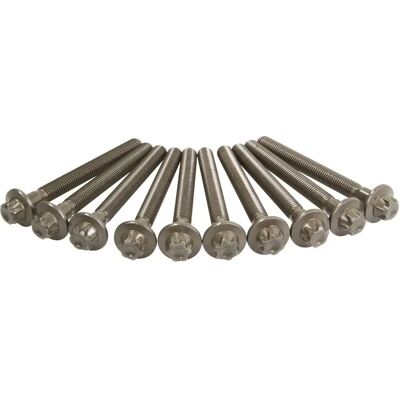 Reinz M12 115mm Torx Zylinderkopfschraubensatz - Zylinderkopfschrauben-Set Reinz M12 115mm Torx Zylinderkopfschraubensatz - Zylinderkopfschrauben-Set
