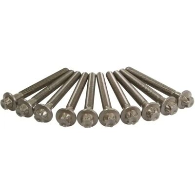 Reinz M12 115mm Ensemble de boulons de tête de cylindre Torx - Ensemble de boulons de tête de cylindre Reinz M12 115mm Ensemble de boulons de tête de cylindre Torx - Ensemble de boulons de tête de cylindre