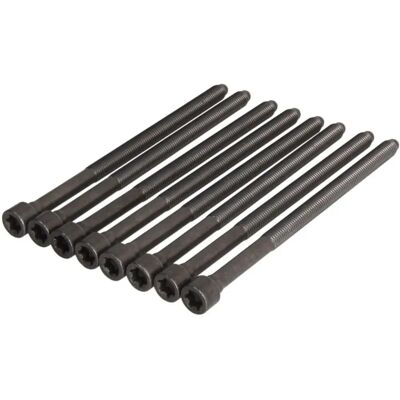 Victor Reinz Cylinder Head Bolt Kit - 14-32198-01 Victor Reinz Cylinder Head Bolt Kit - 14-32198-01