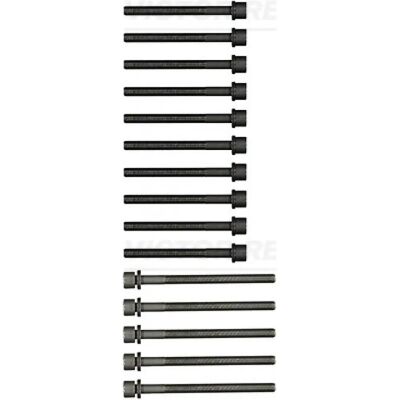REINZ Volkswagen Passat B5 GP Cylinder Head Bolt Set REINZ Volkswagen Passat B5 GP Cylinder Head Bolt Set