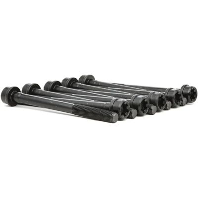 REINZ 14-32191-01 Motorsteuerbolzen-Set - M10, 119mm, Innen gezahnt REINZ 14-32191-01 Motorsteuerbolzen-Set - M10, 119mm, Innen gezahnt